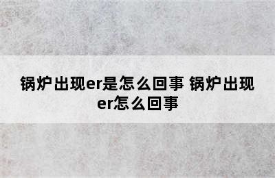 锅炉出现er是怎么回事 锅炉出现er怎么回事